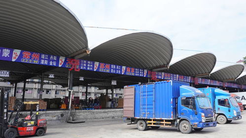 簽約兄弟團物流，快運兔運力再升級，攜手共拓國內貨運代理新版圖