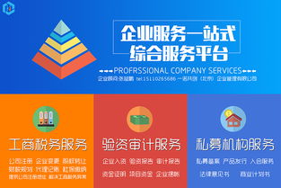 資產(chǎn)公司注冊地方AMC處置不良資產(chǎn)業(yè)務(wù)的可行性方案